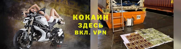 сатива Зеленокумск