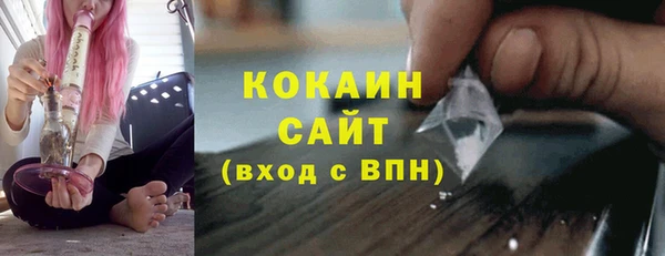 сатива Зеленокумск