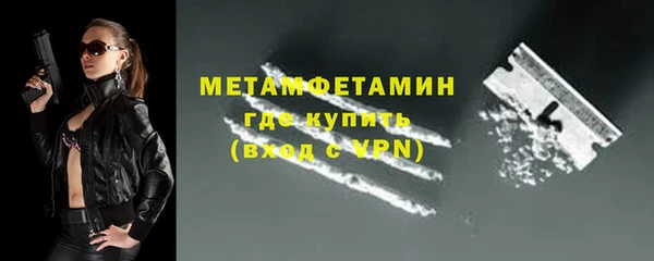 сатива Зеленокумск