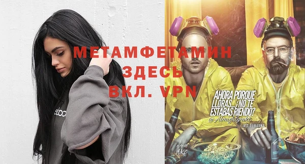 сатива Зеленокумск
