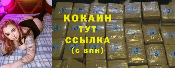 сатива Зеленокумск